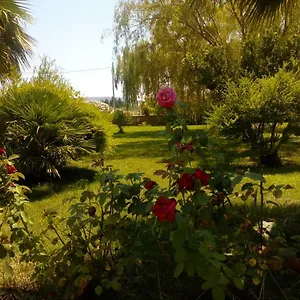 Il Giardino Delle Rose A Appartement Olmedo